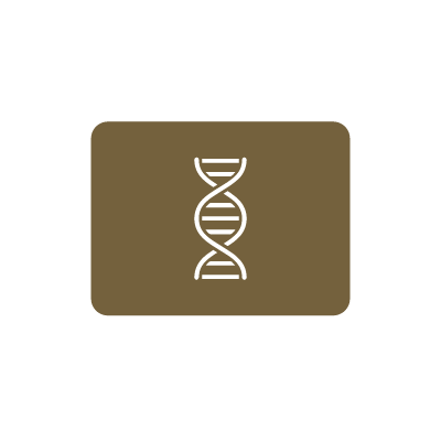 dna-test-kit2